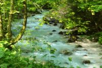 2014-07-24_OsterfelderKopf (108).JPG